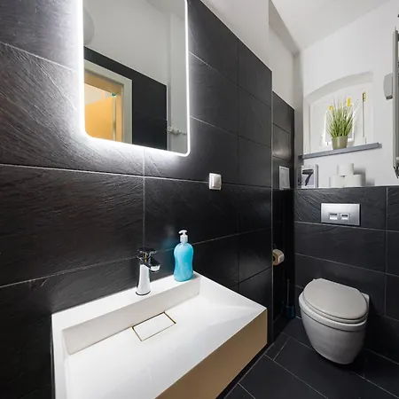 1 Lh 9-Zimmer-Apartment Hbf Halle (Saale)